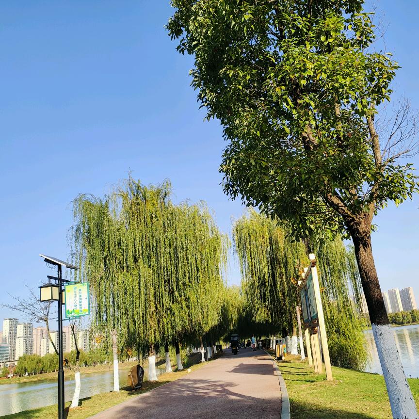 雅馨