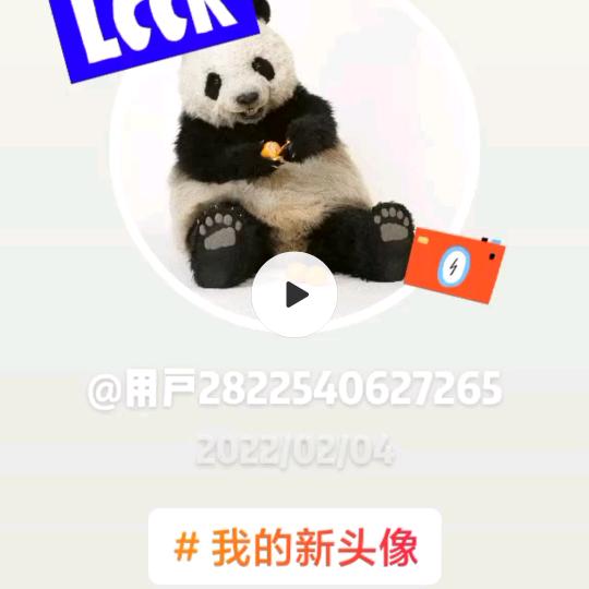 淑仙女