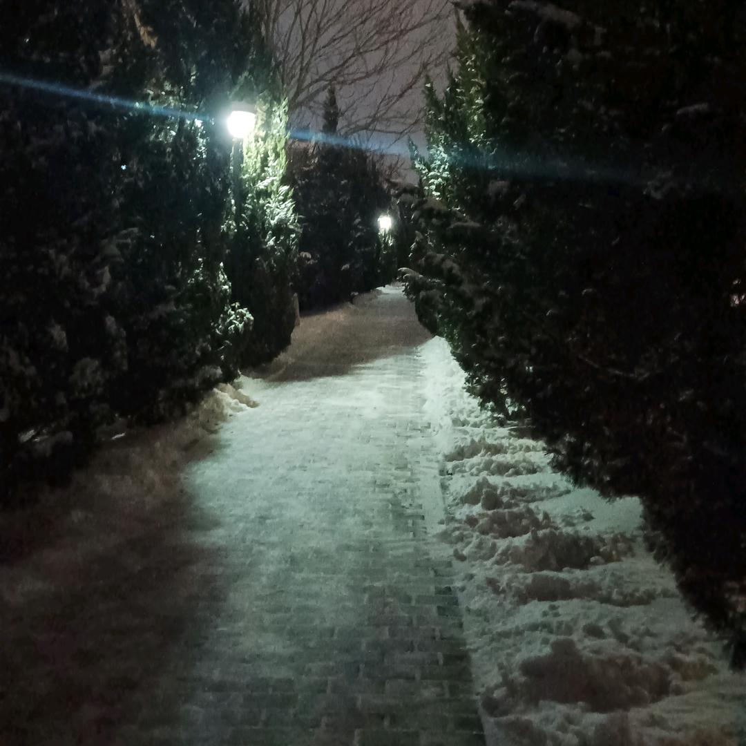 七月的风🏃