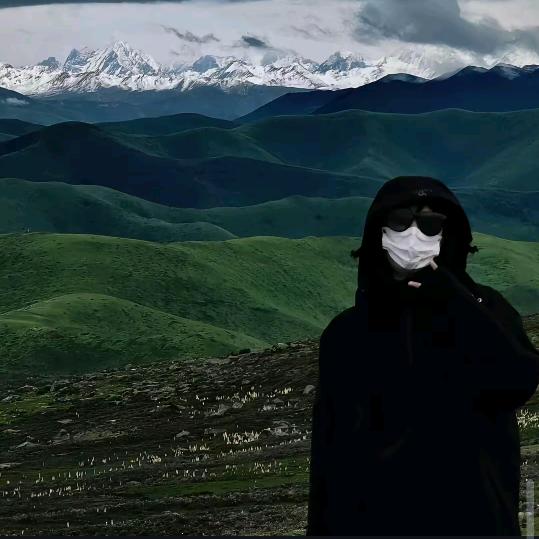 照旧