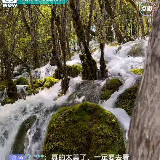 平平淡淡