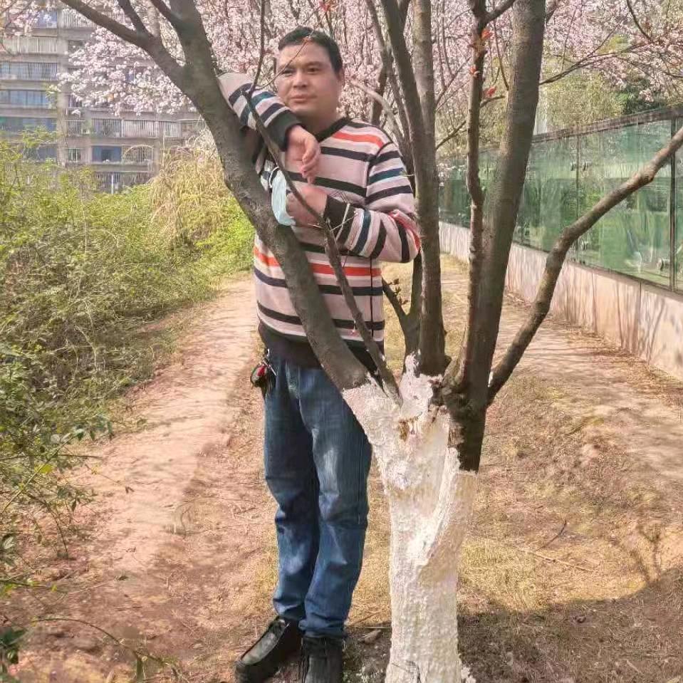 蒲二电子琴大小锣鼓