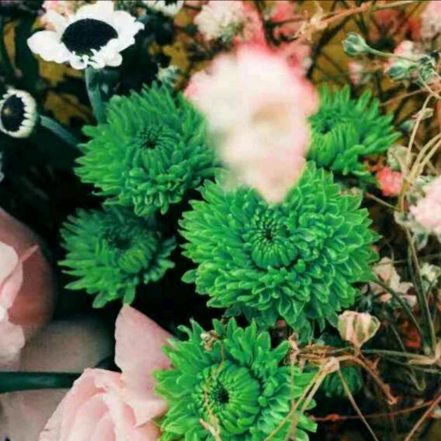 @渔与得水☎️182