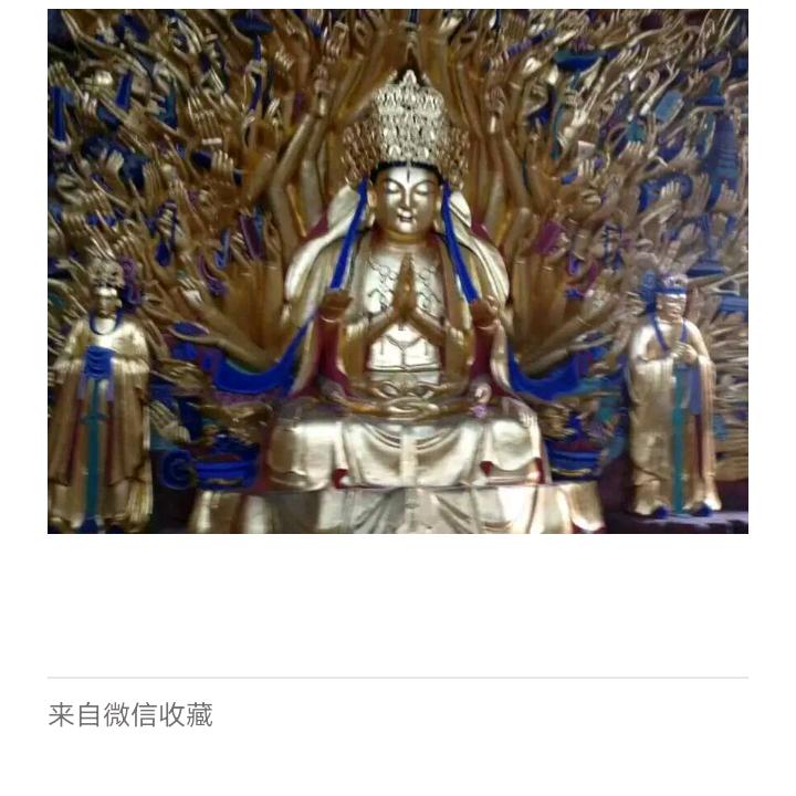贵德放生鱼
