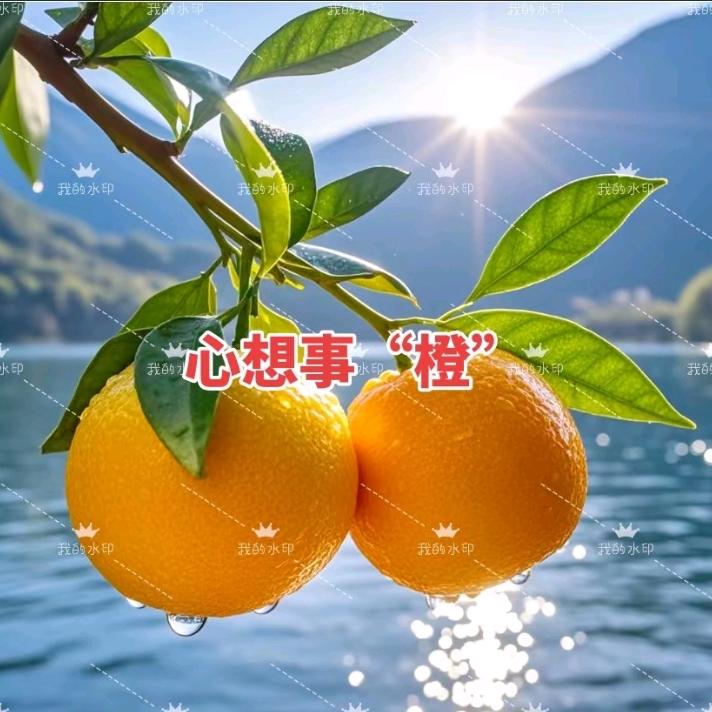 🍊心🍊意