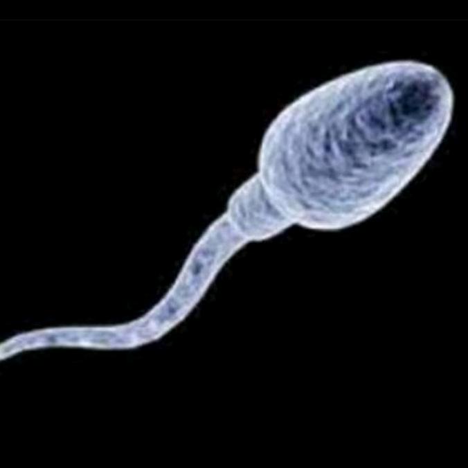 小蝌蚪找妈妈✨