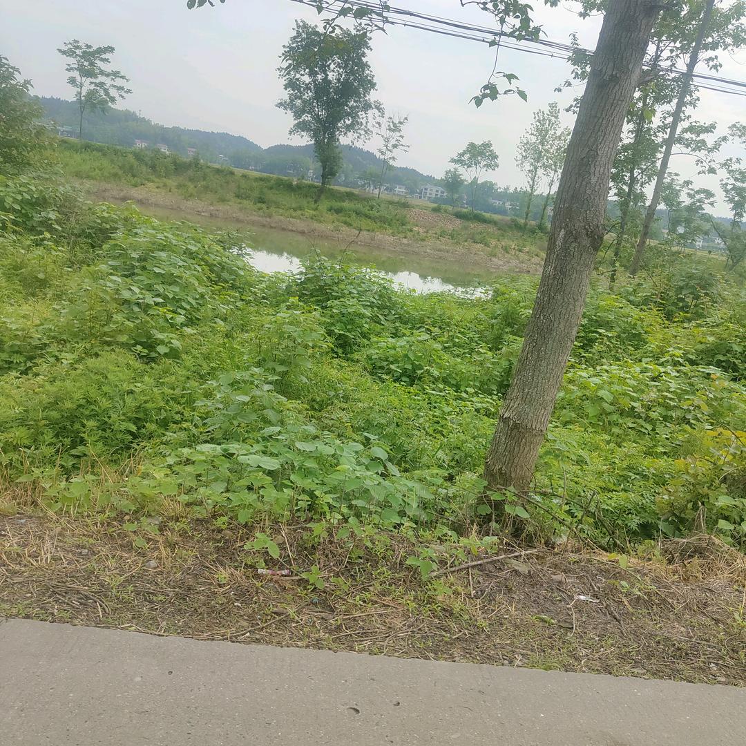 用户5475045126572