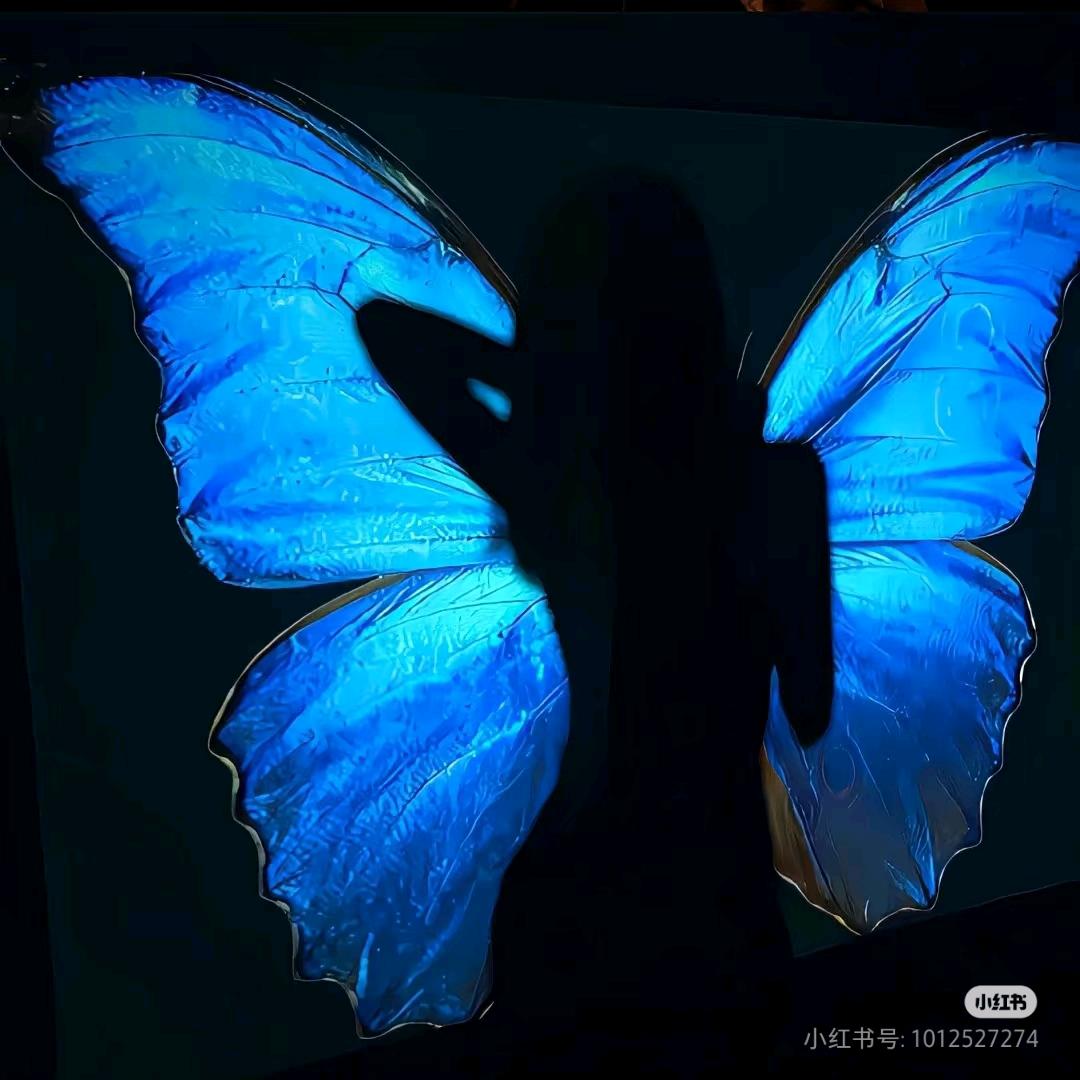 望花墙