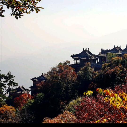 金佛山