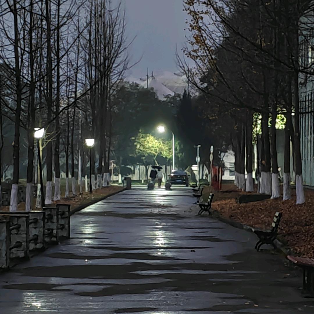 那年那雨那花落