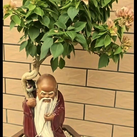 满天星辰，