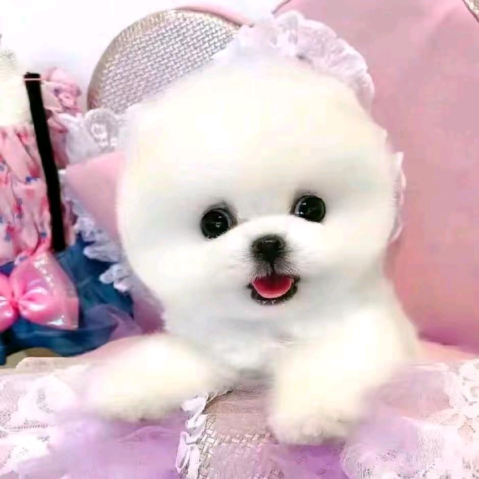 💃🏽@福妮💃🏽