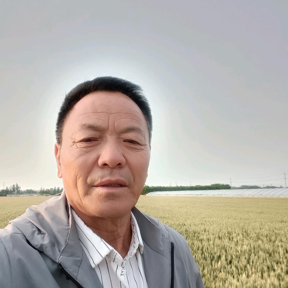 天外来客
