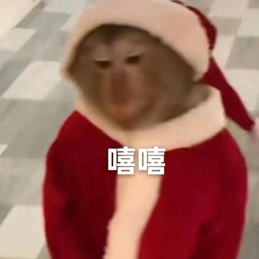 一只猴