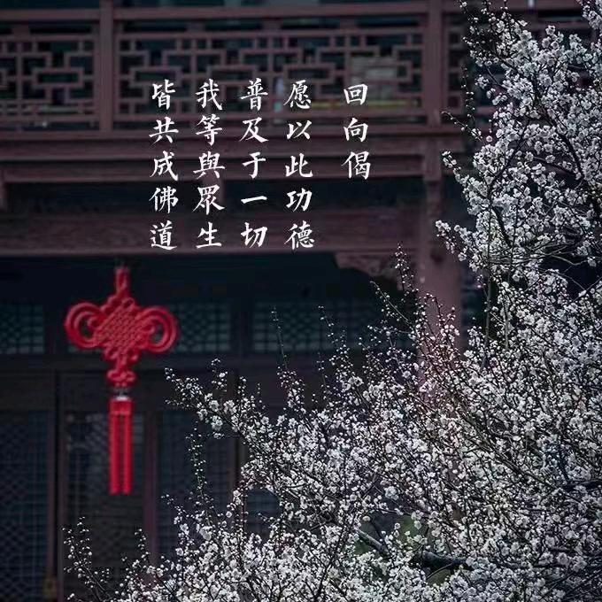 红星健健