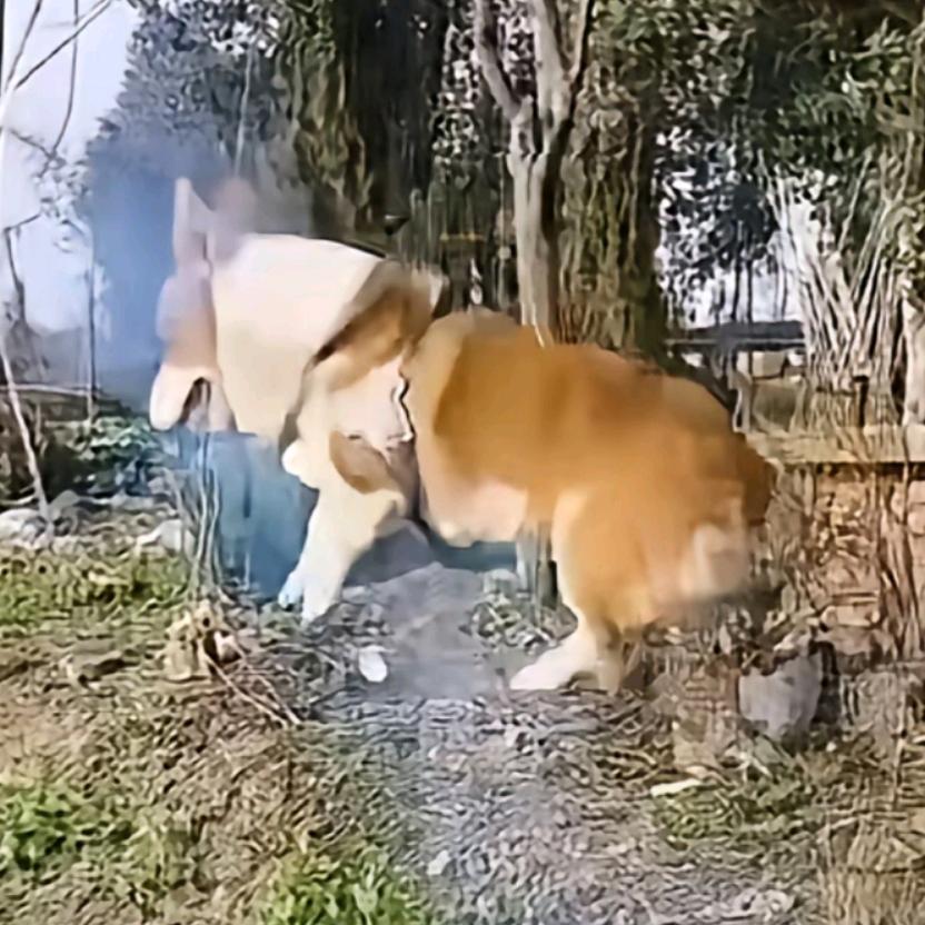 网约车中心