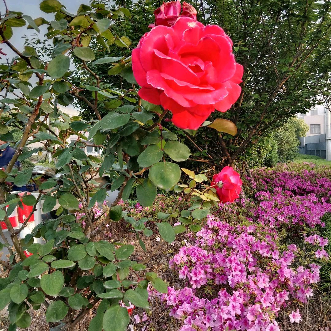 平安幸福。
