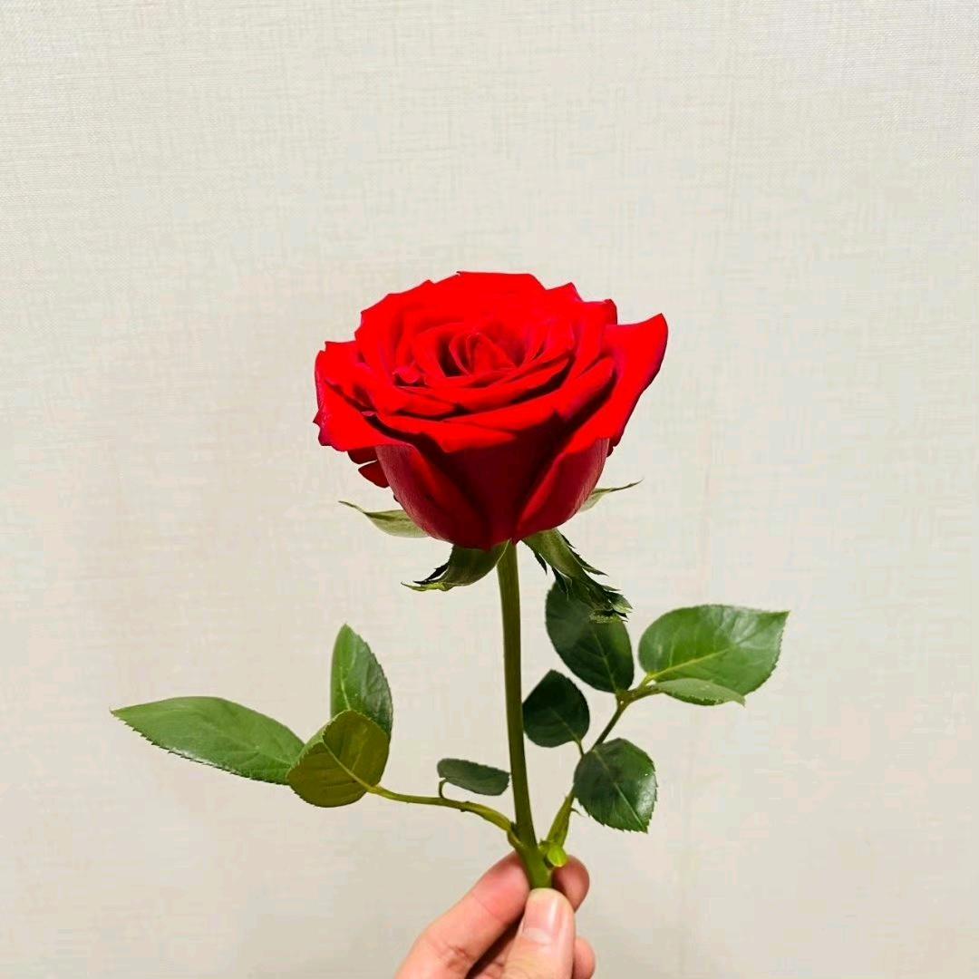魔战战天love