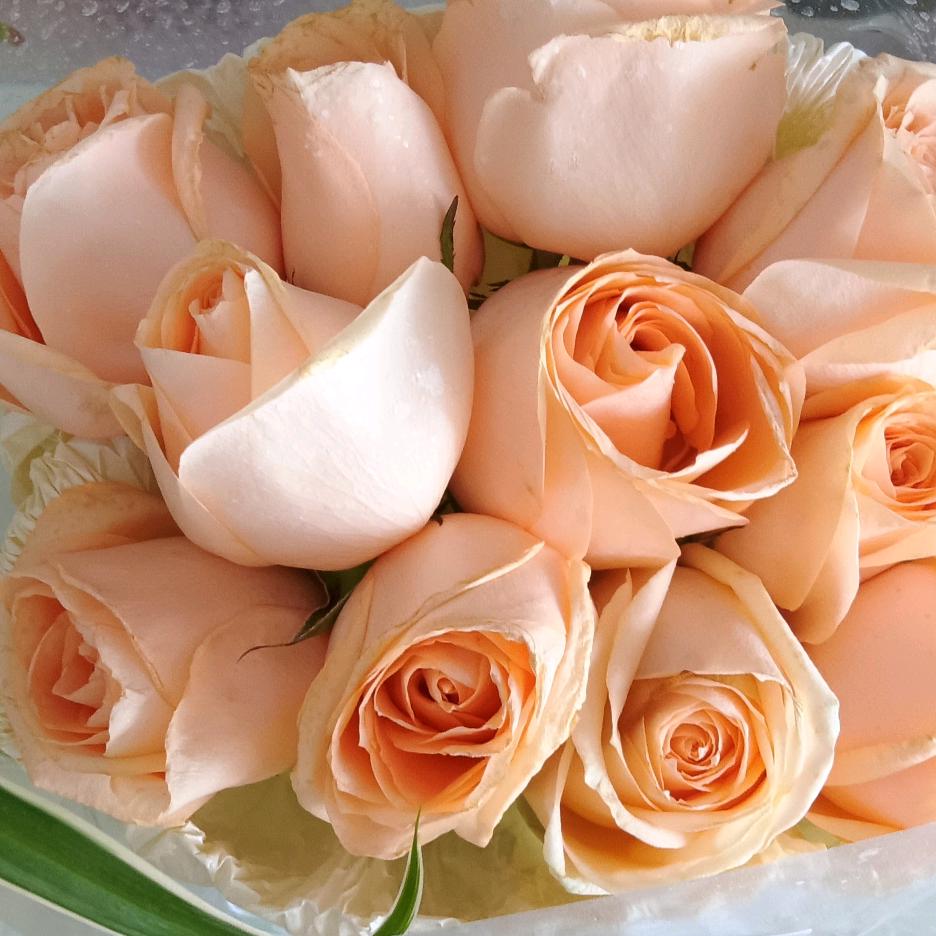 🇨🇳兵妈🇨🇳