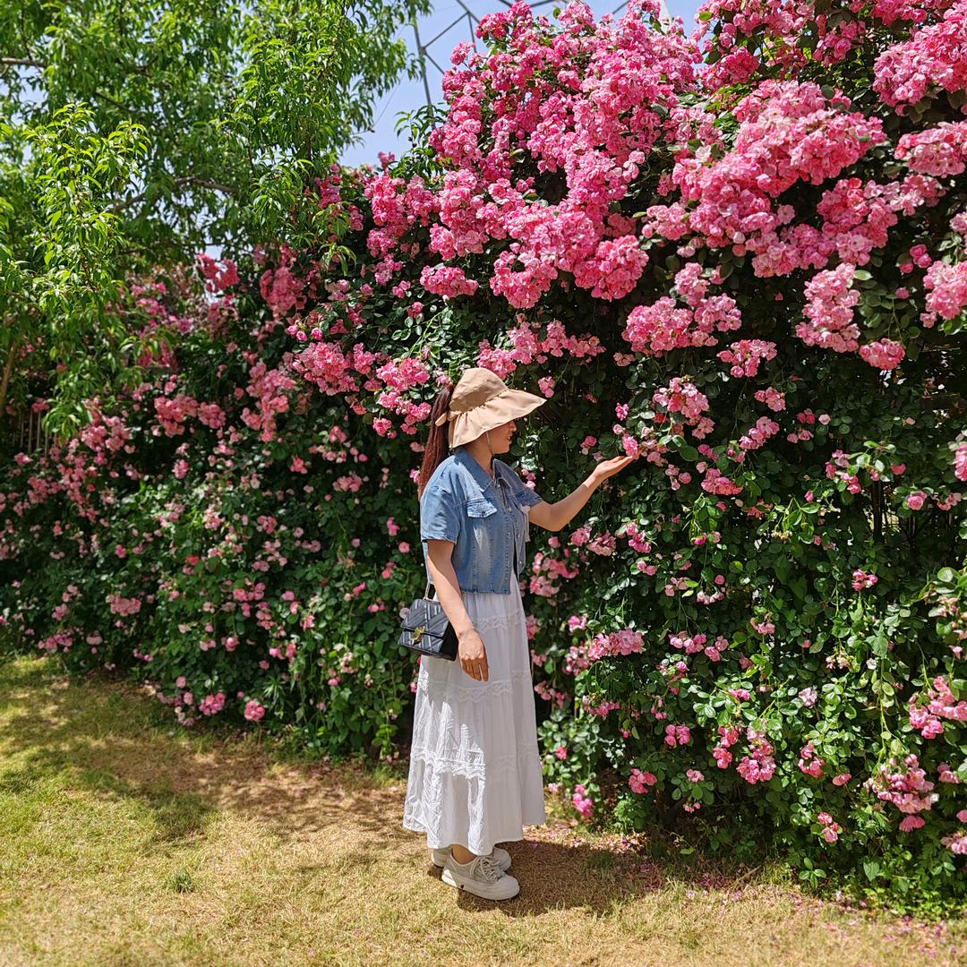 ✨倾城的微笑✨