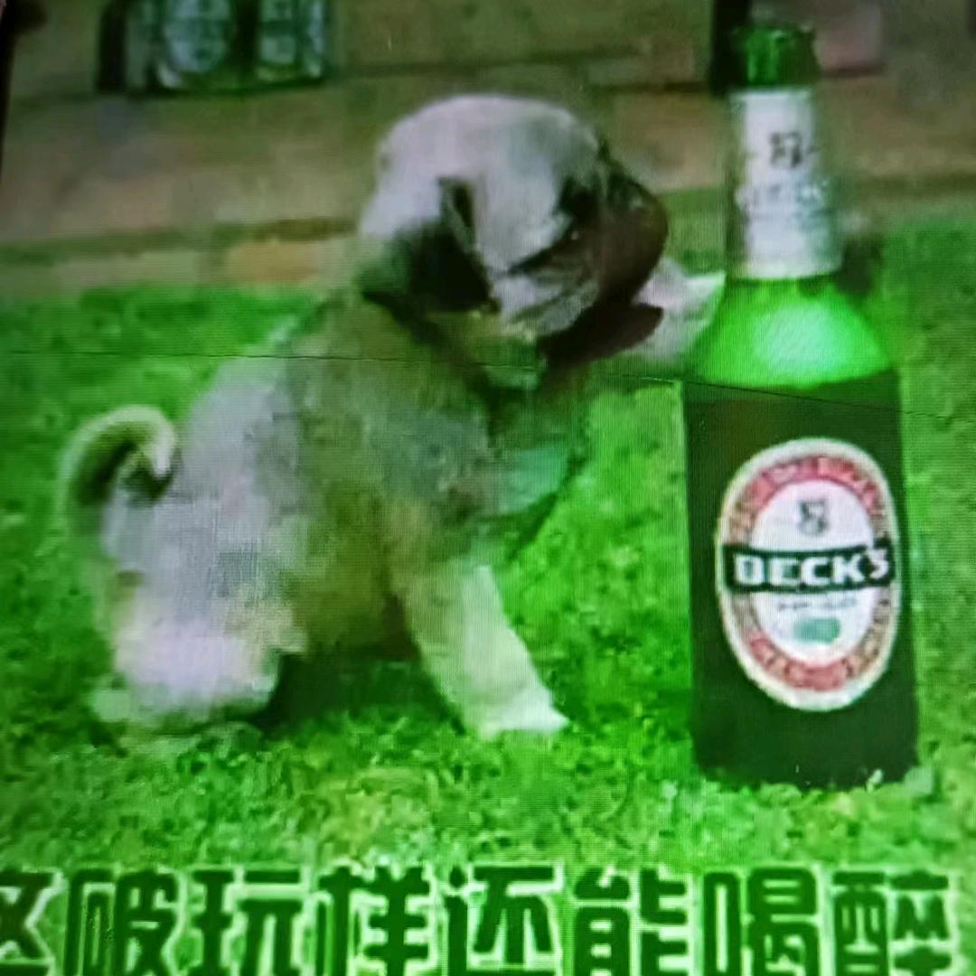 等待着