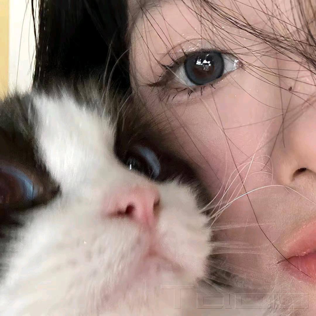 🌈董小姐 姐