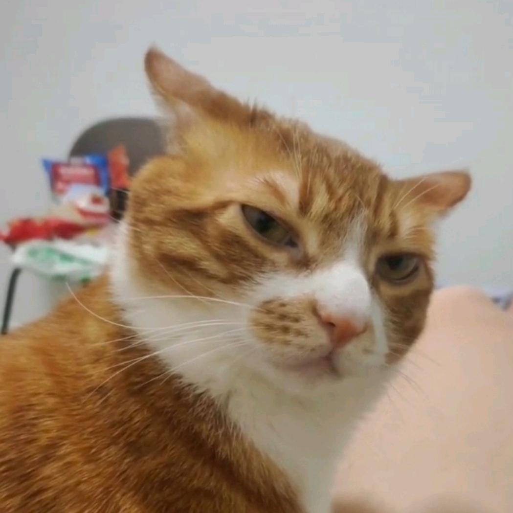 豆包-