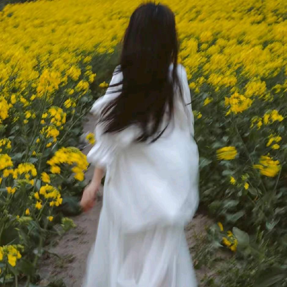 蔷薇
