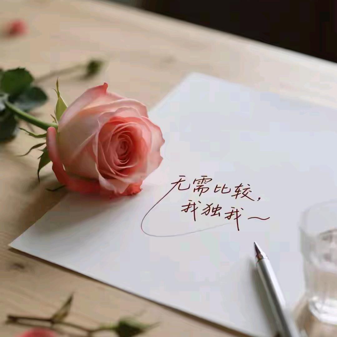 🍀一叶知秋🍀