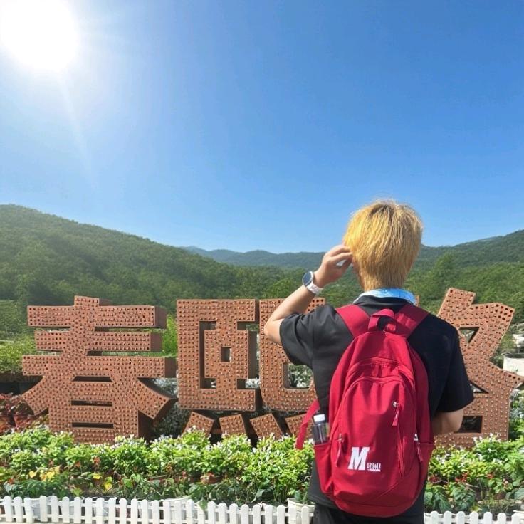 一只洋芋