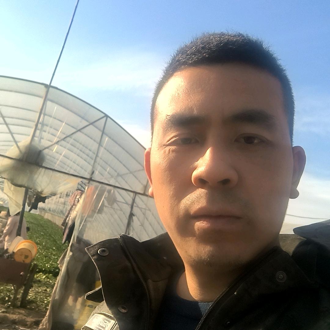 张大龙