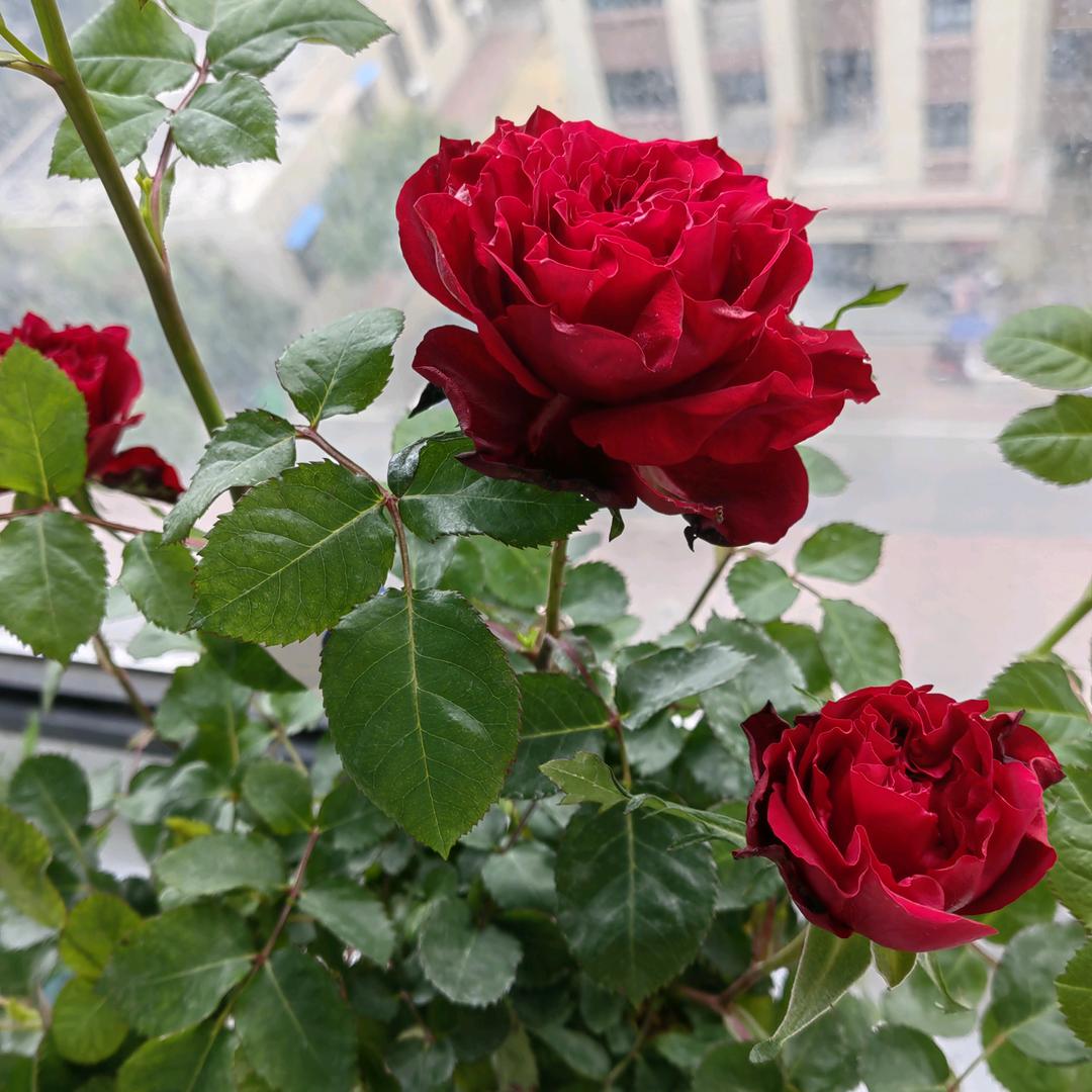 时光安好🎋