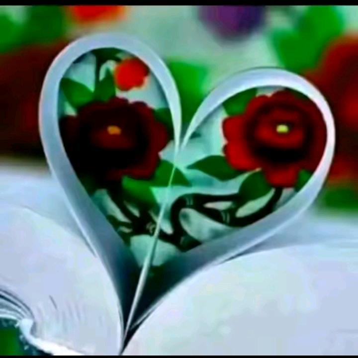 💞1💞3💞7💞6