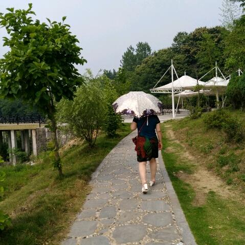 倾城雪