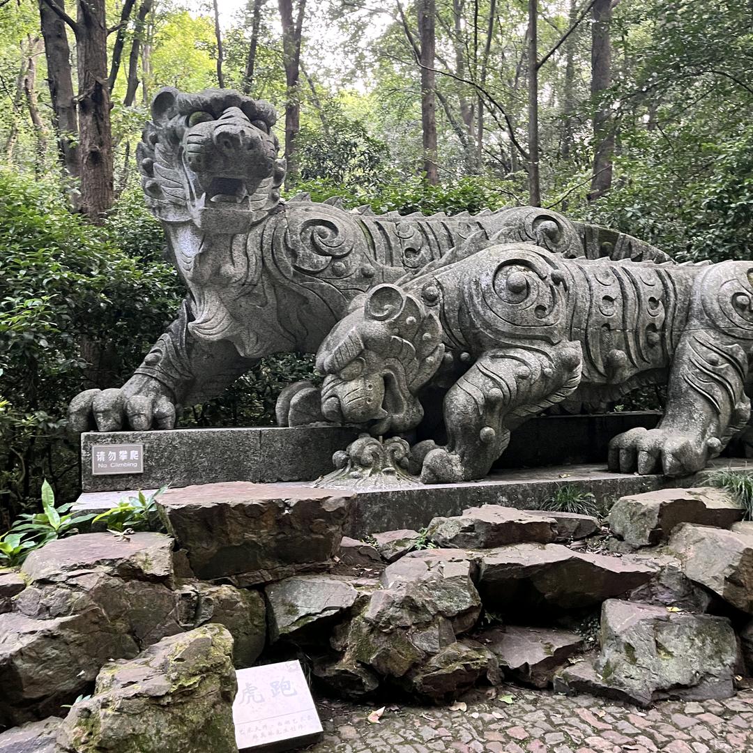 莫惊春