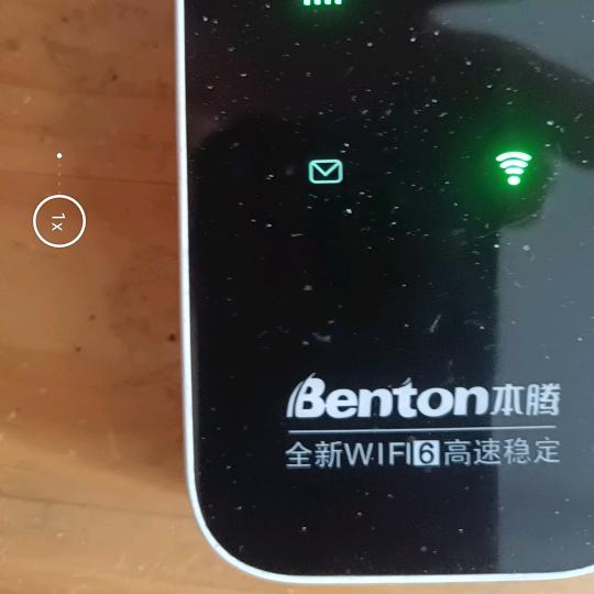 风华正茂