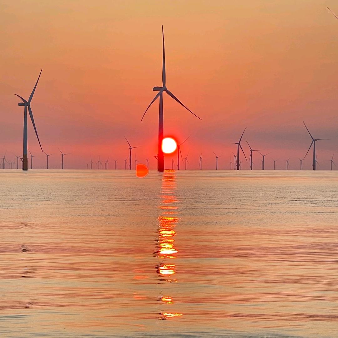 时间煮雨我煮鱼