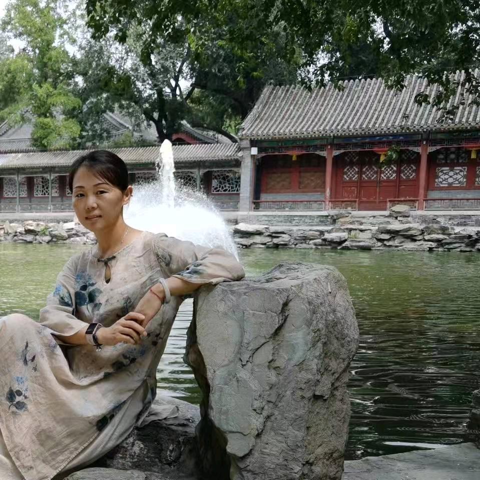 远飞的燕子