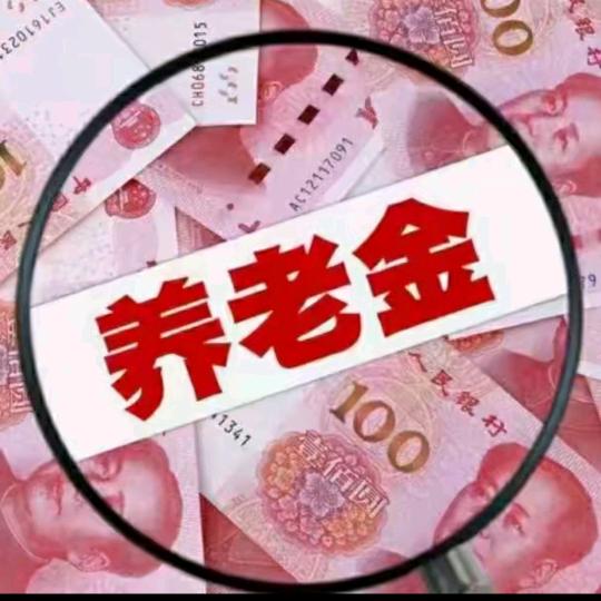 社保规划