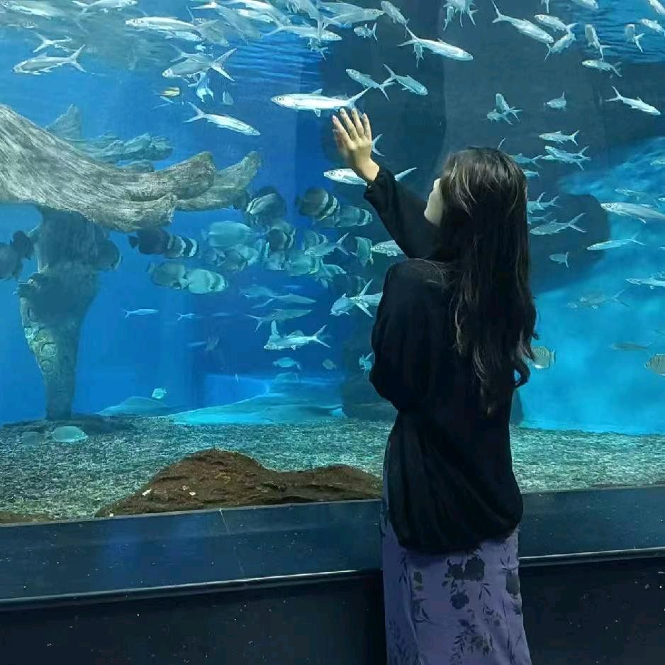 情感语录励志语