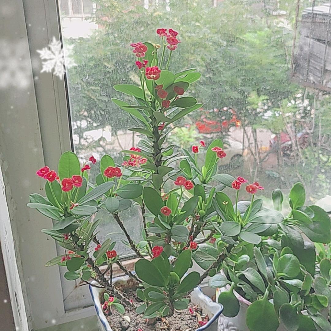 爱钓鱼的人