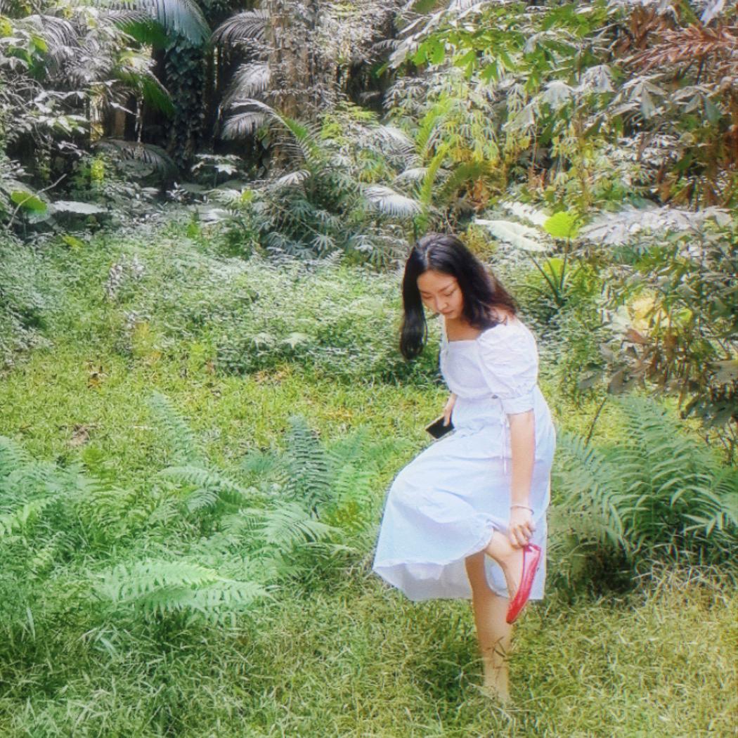 姜是一棵树（画画版）