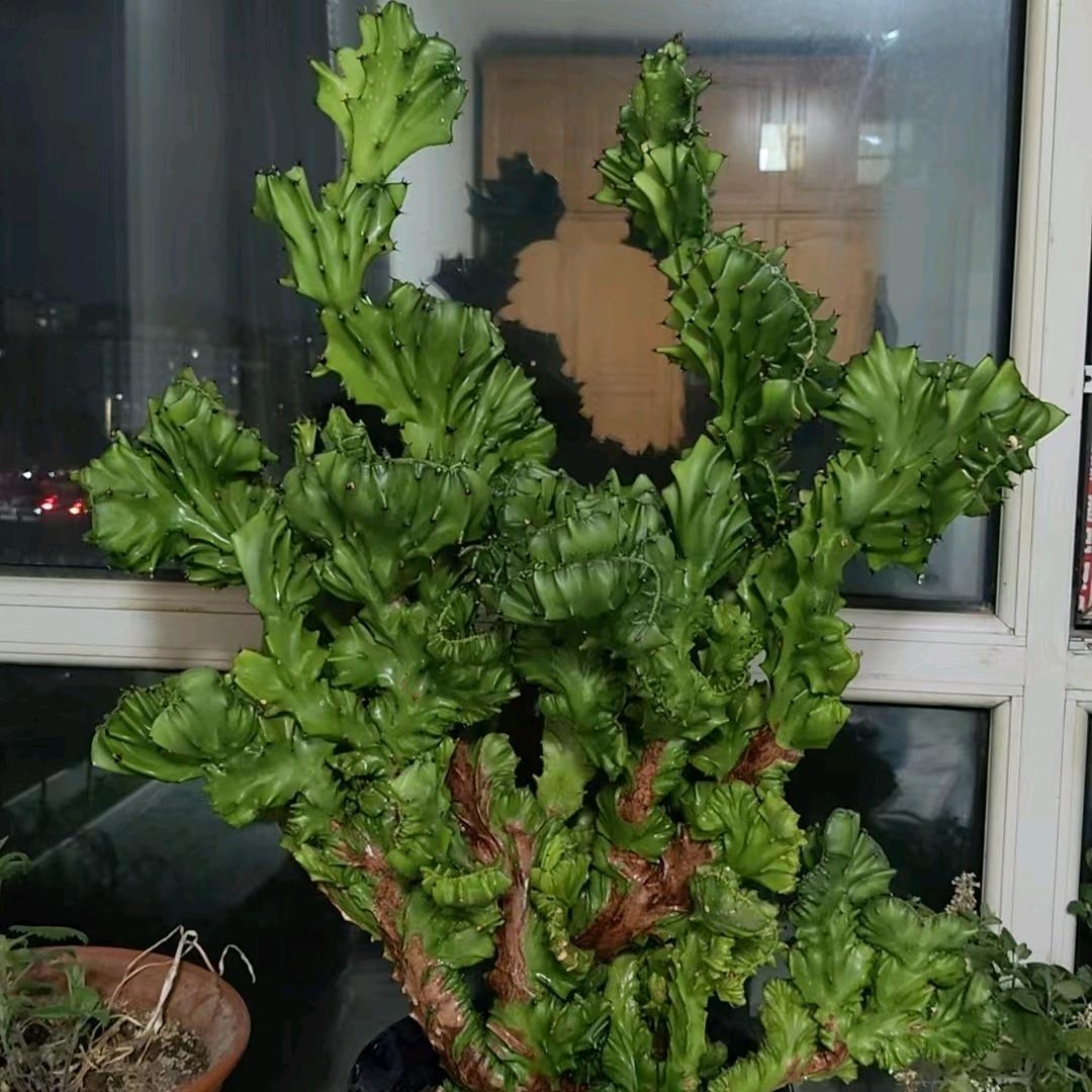 沧桑岁月痕