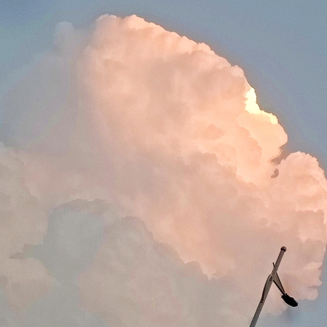 废铁木材回收小胡