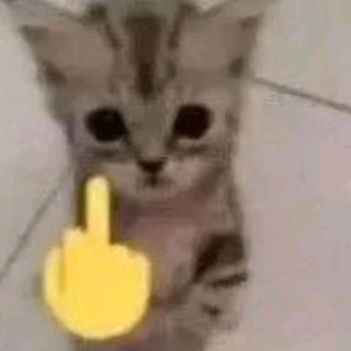 纳纳（4连to）