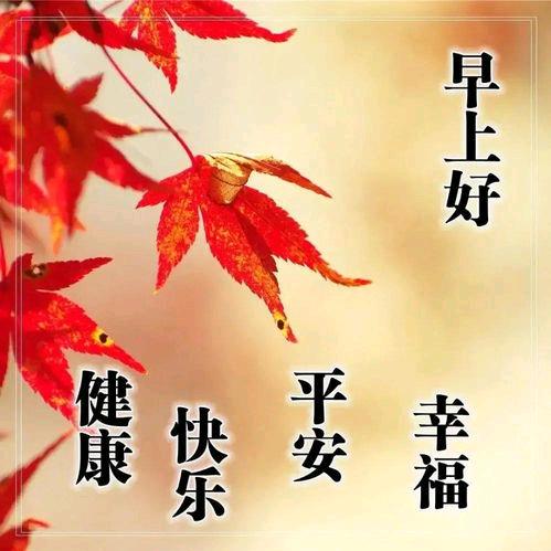 天官