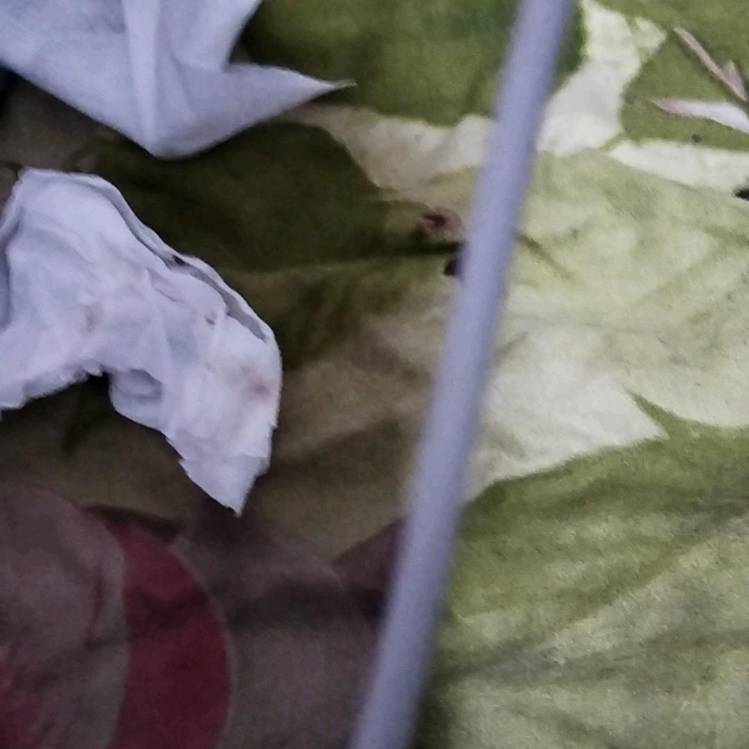 一肖