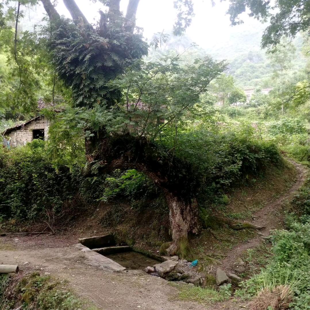 余生只搞钱☪︎