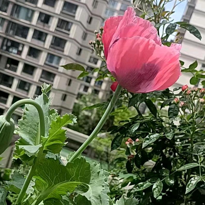 错把套路当深情