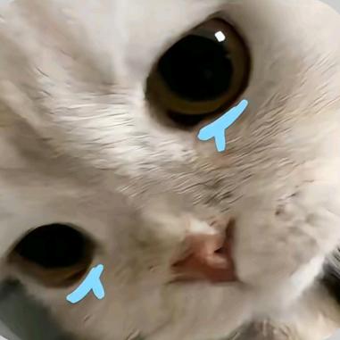 度度